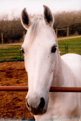 ella up close