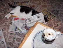 Fellini reading the paper